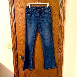 American Eagle Artist Flare Jean, Size 14 X-Long